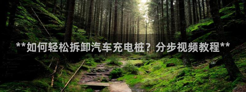威廉希尔西甲1.44,4.6,6.5什么赛果：**如何轻松拆卸汽车充电桩？分步视频教程**