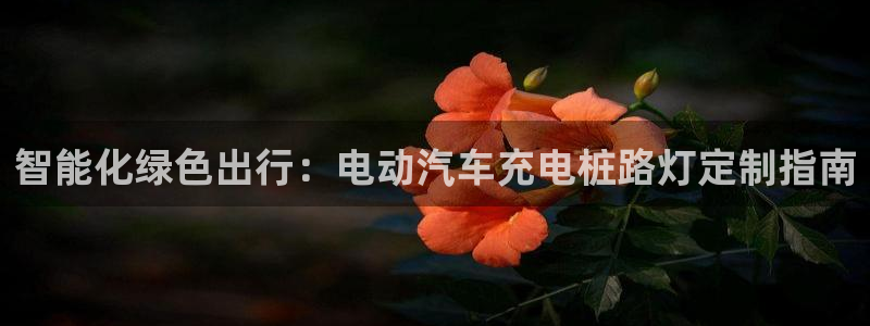 威廉希尔在中国有没有平台直播：智能化绿色出行：电动汽车充电桩路灯定制指南