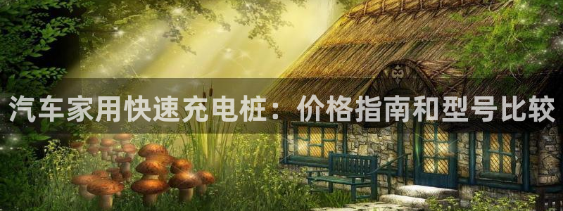 威廉国际是个啥东西：汽车家用快速充电桩：价格指南和型号比较