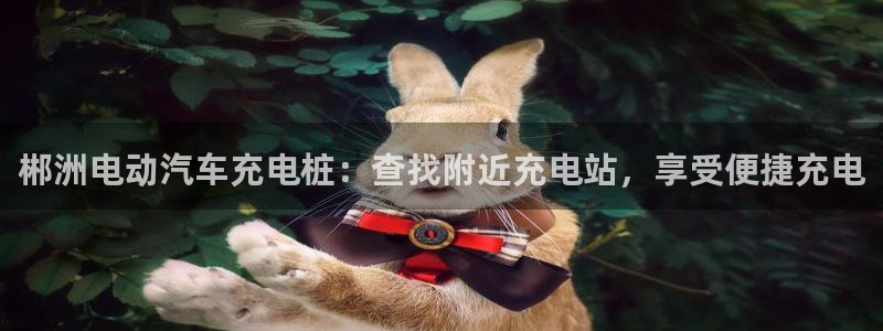 威廉国际平台正规吗：郴洲电动汽车充电桩：查找附近充电站，享受便捷充电
