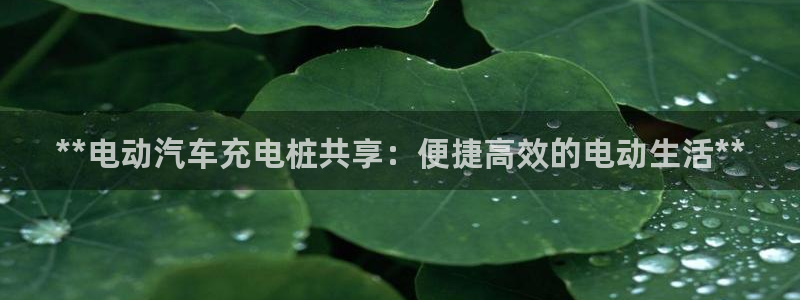 威廉希尔足球网指数：**电动汽车充电桩共享：便捷高效的电动生活**