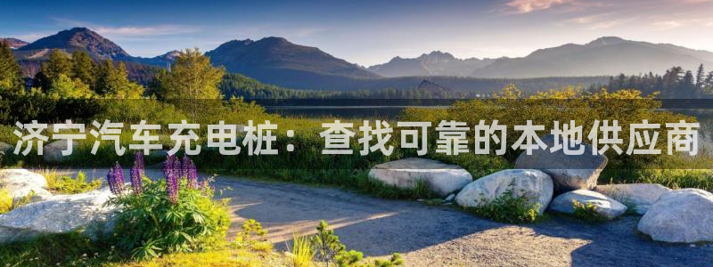 威廉希尔网页版：济宁汽车充电桩：查找可靠的本地供应商