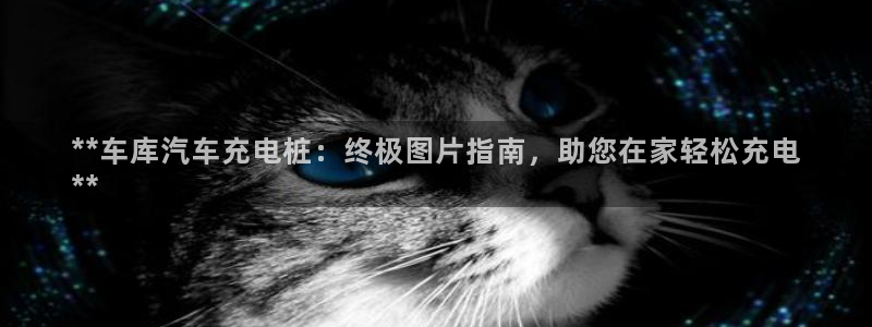 巴西甲威廉希尔初赔研究：**车库汽车充电桩：终极图片指南，助您在家轻松充电
**