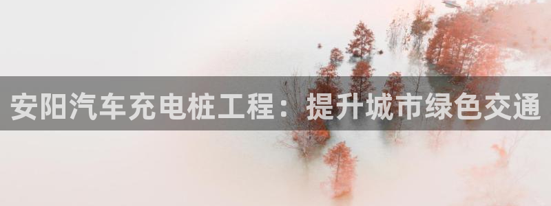 威廉希尔是什么水平的公司啊：安阳汽车充电桩工程：提升城市绿色交通