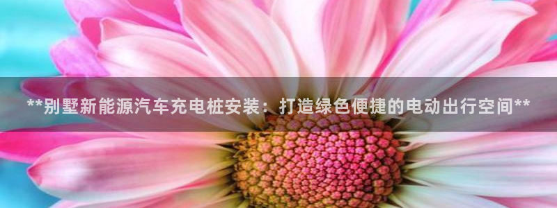 威廉希尔 1.95 3.20 3.50：**别墅新能源汽车充电桩安装：打造绿色便捷的电动出行空间**