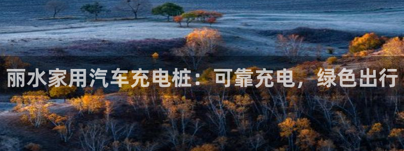 威廉希尔是什么水平的公司：丽水家用汽车充电桩：可靠充电，绿色出行