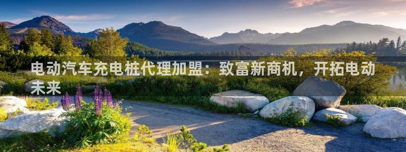 威廉希尔大小球怎么看：电动汽车充电桩代理加盟：致富新商机，开拓电动
未来