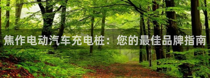威廉与澳门盘到底看初盘还是怎么看：焦作电动汽车充电桩：您的最佳品牌指南