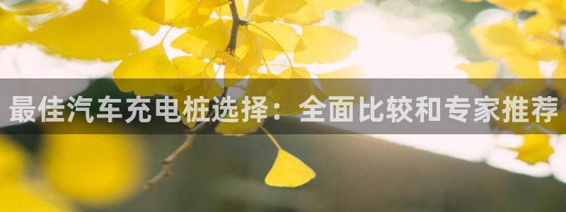 威廉希尔分析软件：最佳汽车充电桩选择：全面比较和专家推荐