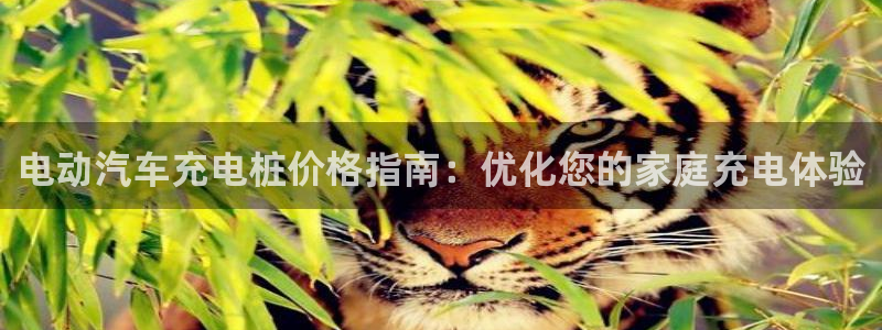 英国威廉希尔官网：电动汽车充电桩价格指南：优化您的家庭充电体验