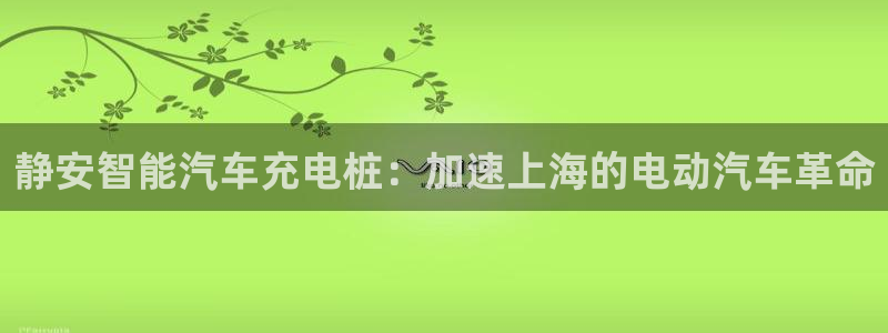 威廉客户端app下载官网：静安智能汽车充电桩：加速上海的电动汽车革命