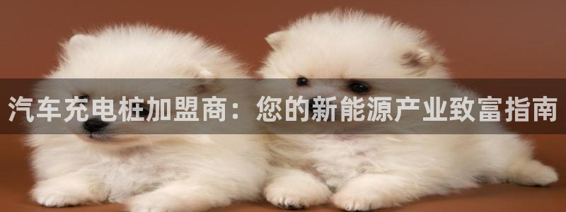 j联赛威廉希尔：汽车充电桩加盟商：您的新能源产业致富指南