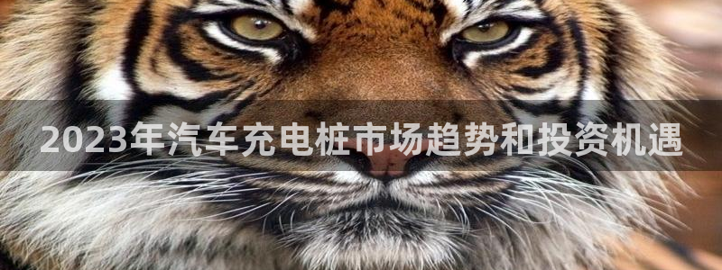 威廉希尔反波胆平台：2023年汽车充电桩市场趋势和投资机遇