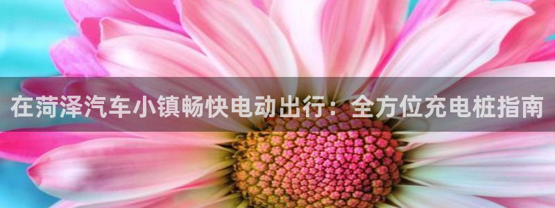 威廉希尔中文官网卡塔尔：在菏泽汽车小镇畅快电动出行：全方位充电桩指南
