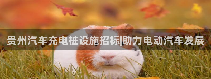 威廉娱乐2023官方版fxzls安卓-1.2.5 -安卓：贵州汽车充电桩设施招标|助力电动汽车发展