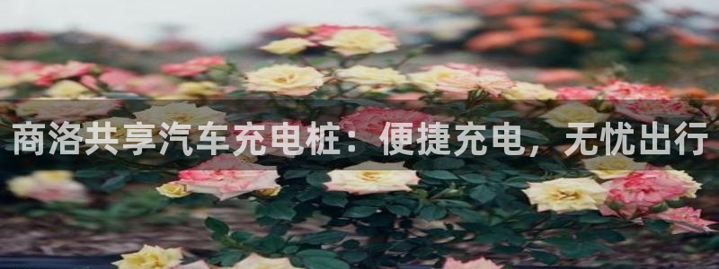 威廉足球软件下载：商洛共享汽车充电桩：便捷充电，无忧出行