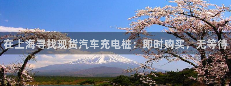威廉希尔的分析方法2：在上海寻找现货汽车充电桩：即时购买，无等待