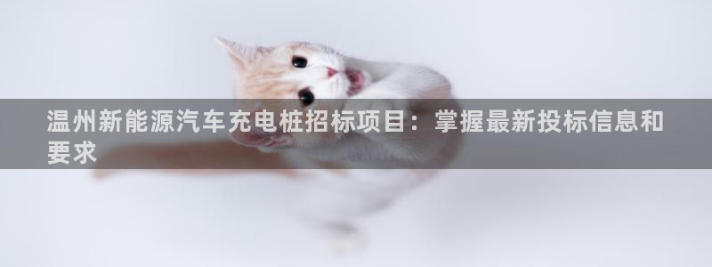 威廉希尔让球胜负平：温州新能源汽车充电桩招标项目：掌握最新投标信息和
要求