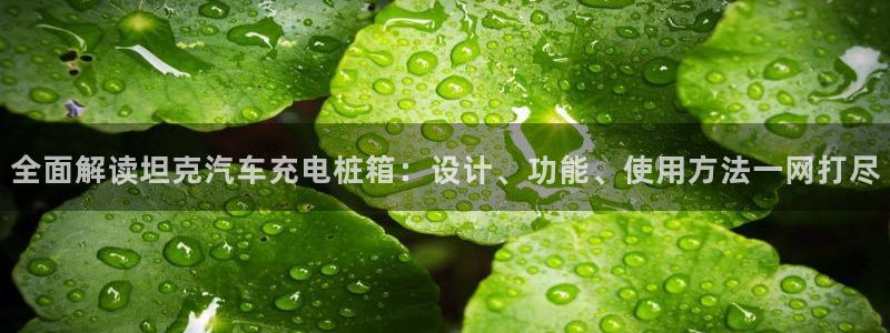 如何看威廉希尔：全面解读坦克汽车充电桩箱：设计、功能、使用方法一网打尽