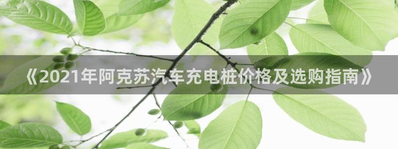 威廉希尔对比哪家公司：《2021年阿克苏汽车充电桩价格及选购指南》