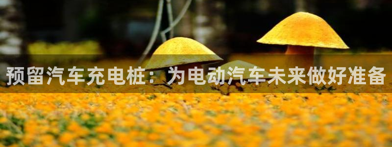 威廉希尔在中国怎么买：预留汽车充电桩：为电动汽车未来做好准备