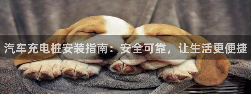 威廉希尔公司怎么样：汽车充电桩安装指南：安全可靠，让生活更便捷