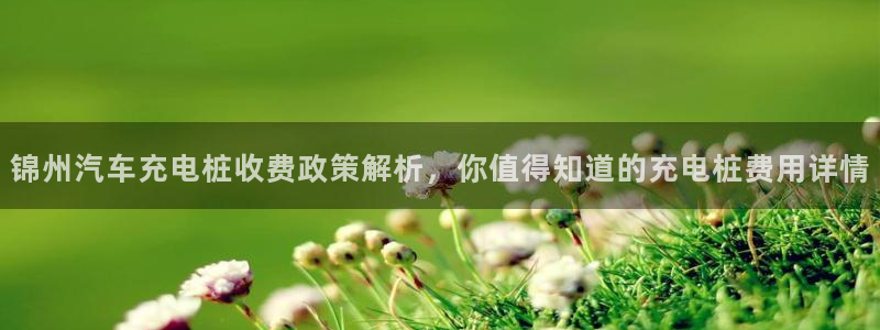威廉希尔日职2.60是什么意思：锦州汽车充电桩收费政策解析，你值得知道的充电桩费用详情