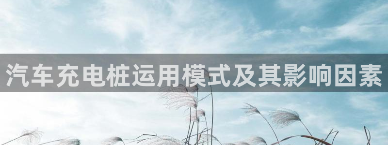 威廉希尔诺贝尔奖：汽车充电桩运用模式及其影响因素