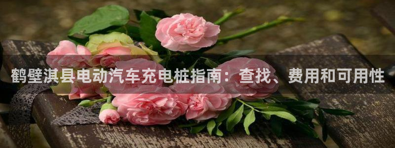 威廉希尔大小球即时指数：鹤壁淇县电动汽车充电桩指南：查找、费用和可用性