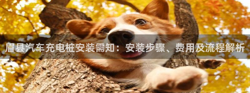威廉娱乐2023官方版fxzls安卓-1.2.5 -安卓：眉县汽车充电桩安装需知：安装步骤、费用及流程解析