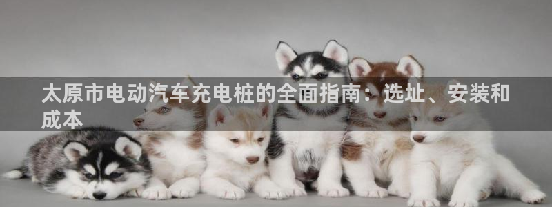 威廉希尔的分析方法：太原市电动汽车充电桩的全面指南：选址、安装和
成本