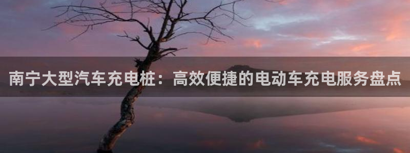 威廉希尔对比法：南宁大型汽车充电桩：高效便捷的电动车充电服务盘点