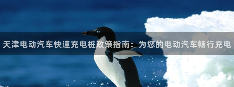 威廉希尔香港俱乐部：天津电动汽车快速充电桩政策指南：为您的电动汽车畅行充电