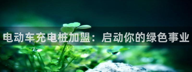 威廉希尔判断平局：电动车充电桩加盟：启动你的绿色事业