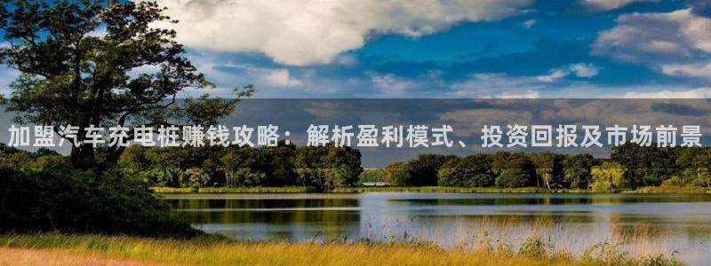 威廉希尔美国控股：加盟汽车充电桩赚钱攻略：解析盈利模式、投资回报及市场前景