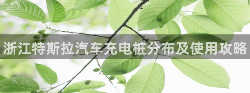 威廉体育下载地址在哪：浙江特斯拉汽车充电桩分布及使用攻略