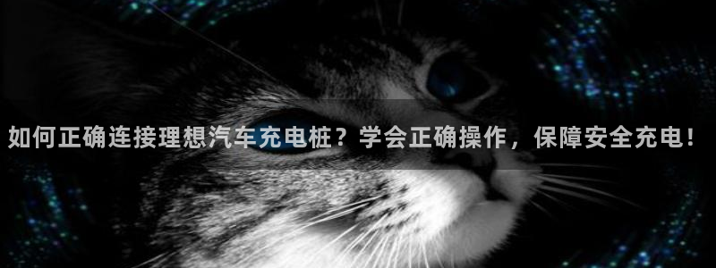威廉体育官方app下载苹果版：如何正确连接理想汽车充电桩？学会正确操作，保障安全充电！