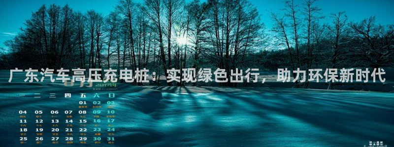 威廉希尔与int对比分析：广东汽车高压充电桩：实现绿色出行，助力环保新时代