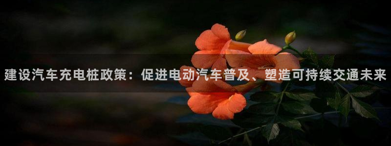 威廉的直播
