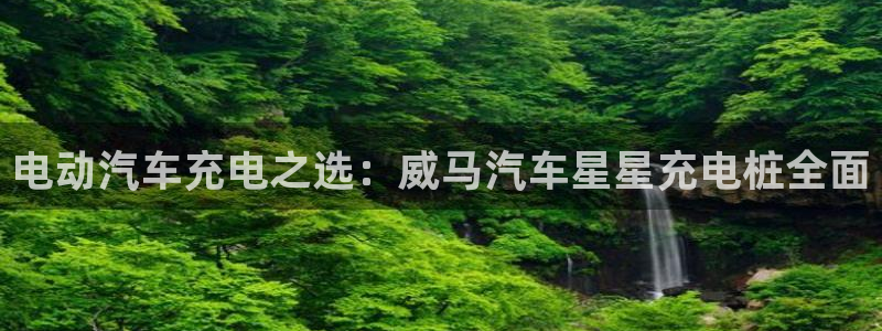 威廉希尔的分析方法2