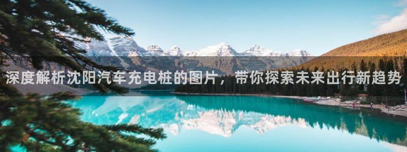 威廉足球 厉害吗：深度解析沈阳汽车充电桩的图片，带你探索未来出行新趋势