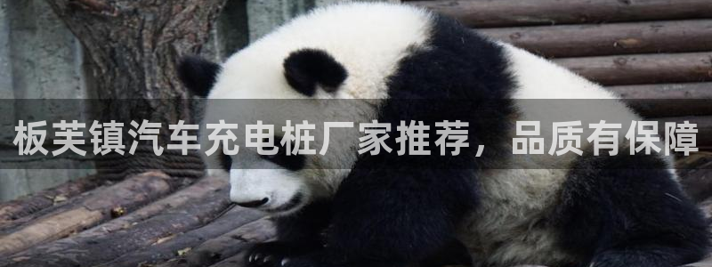 威廉娱乐2023官方版-4.19 Inurl:fayunsi：板芙镇汽车充电桩厂家推荐，品质有保障