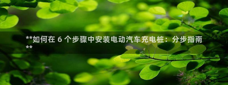 威廉希尔顿网址：**如何在 6 个步骤中安装电动汽车充电桩：分步指南
**