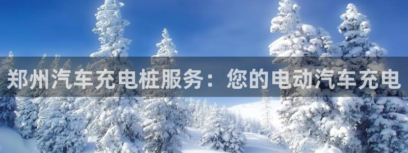 威廉希尔指数一欧州指数：郑州汽车充电桩服务：您的电动汽车充电