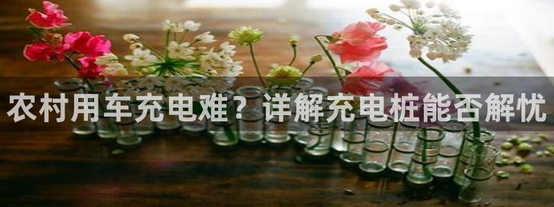 威廉百科：农村用车充电难？详解充电桩能否解忧