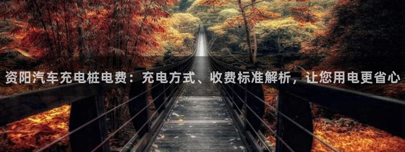威廉希尔和立博欧赔：资阳汽车充电桩电费：充电方式、收费标准解析，让您用电更省心