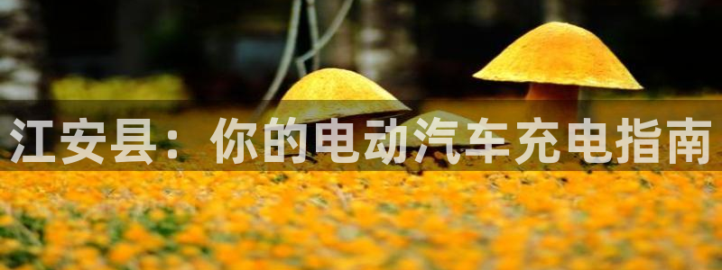 威廉希尔对比哪家公司：江安县：你的电动汽车充电指南