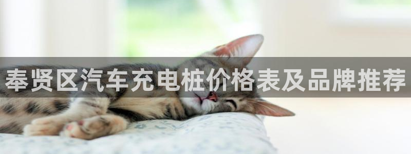 足球威廉希尔指数变化的意义：奉贤区汽车充电桩价格表及品牌推荐
