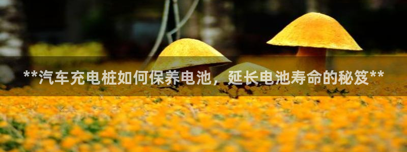 willhill威廉希尔体育：**汽车充电桩如何保养电池，延长电池寿命的秘笈**