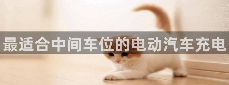 威廉希尔中国官网：最适合中间车位的电动汽车充电